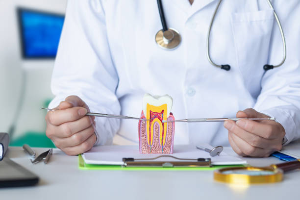 Best Emergency Dental Care for Broken or Chipped Teeth in Adams, WI